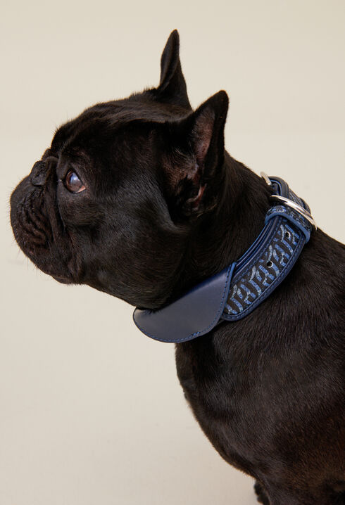 Monogrammed CP dog collar